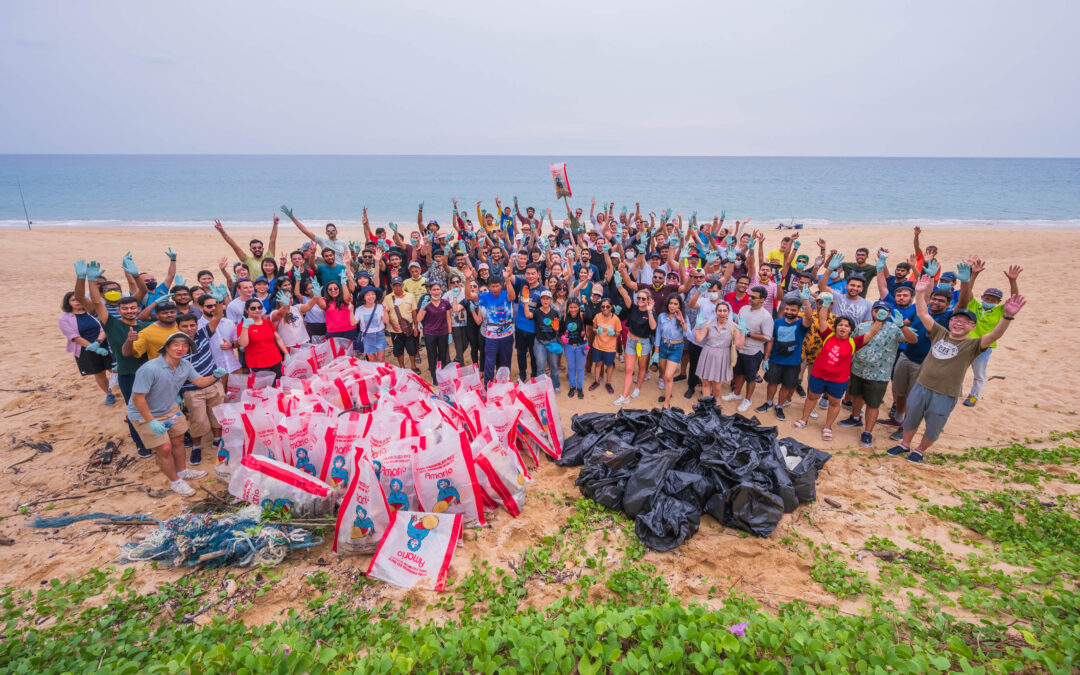News: Beach Clean-ups 2023